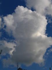 cumulus medicus
