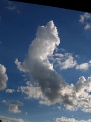 zajímavý cumulus