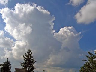 cumulus congestus
