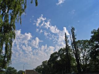 Cumulus Castelanus